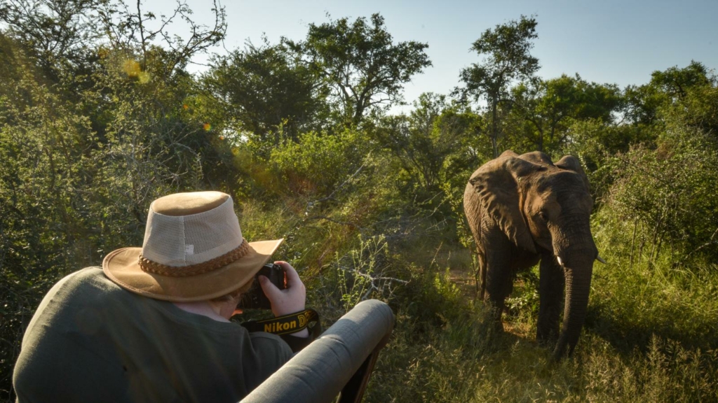a man is taking a picture of an elephant.
